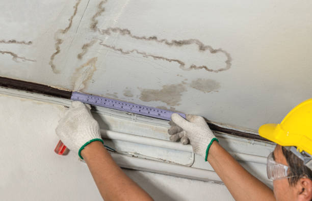 Reliable Water Damage contractor in Livonia, MI by Water Damage Irwin